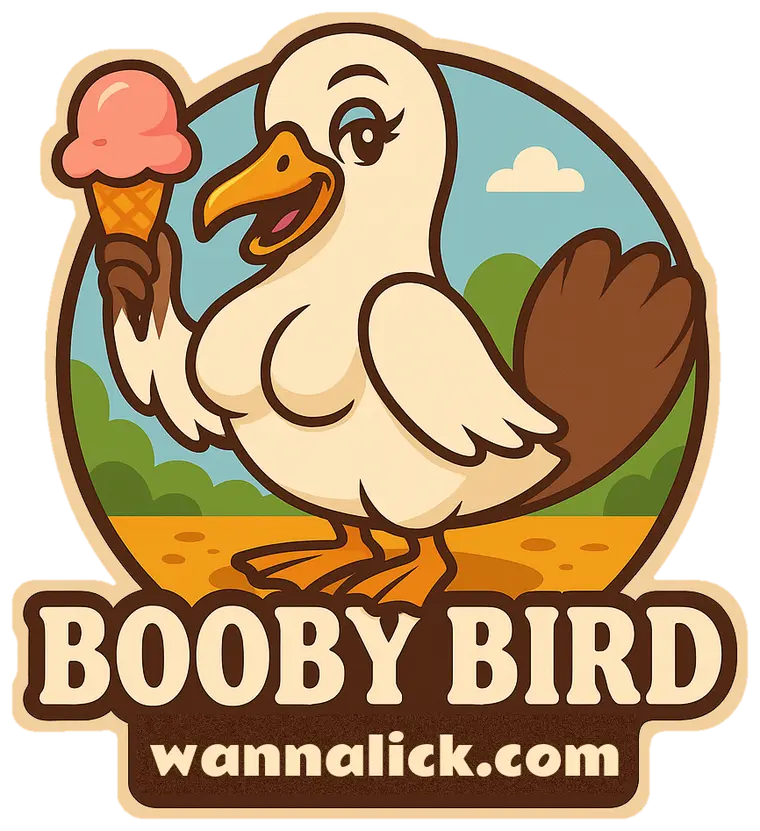 Booby Bird design: cartoon seabird holding an ice cream cone